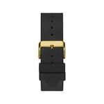 GW0048G2