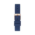 GW0356L1