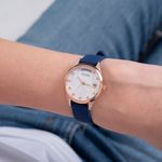 GW0356L1