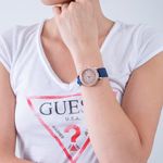 GW0358L1