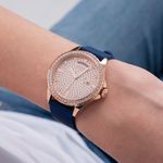 GW0358L1