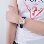 GW0411L2