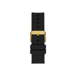 GW0420G2
