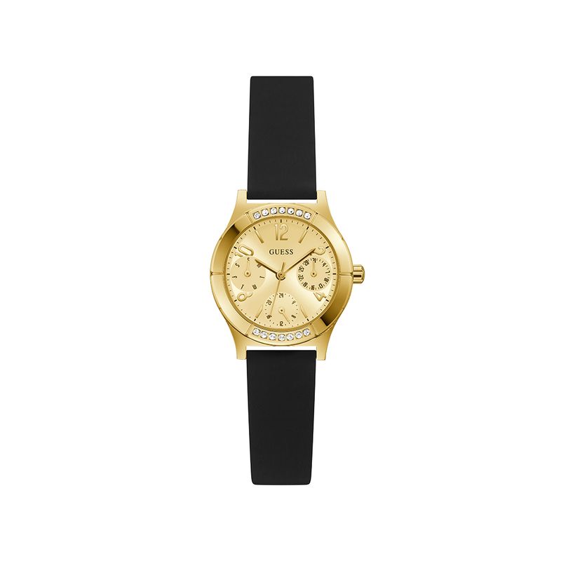 GW0451L1