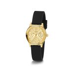 GW0451L1