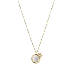 Collar Joya Fossil Mujer JF04023710