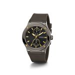 GW0491G1