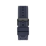 GW0499G1