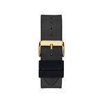 GW0500G1