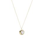 Joyas_Fossil_JF03883710