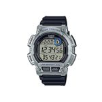 WS-2100H-1A2V