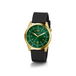 GW0494G4