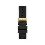 GW0555L2