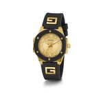 GW0555L2