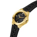 GW0599L2