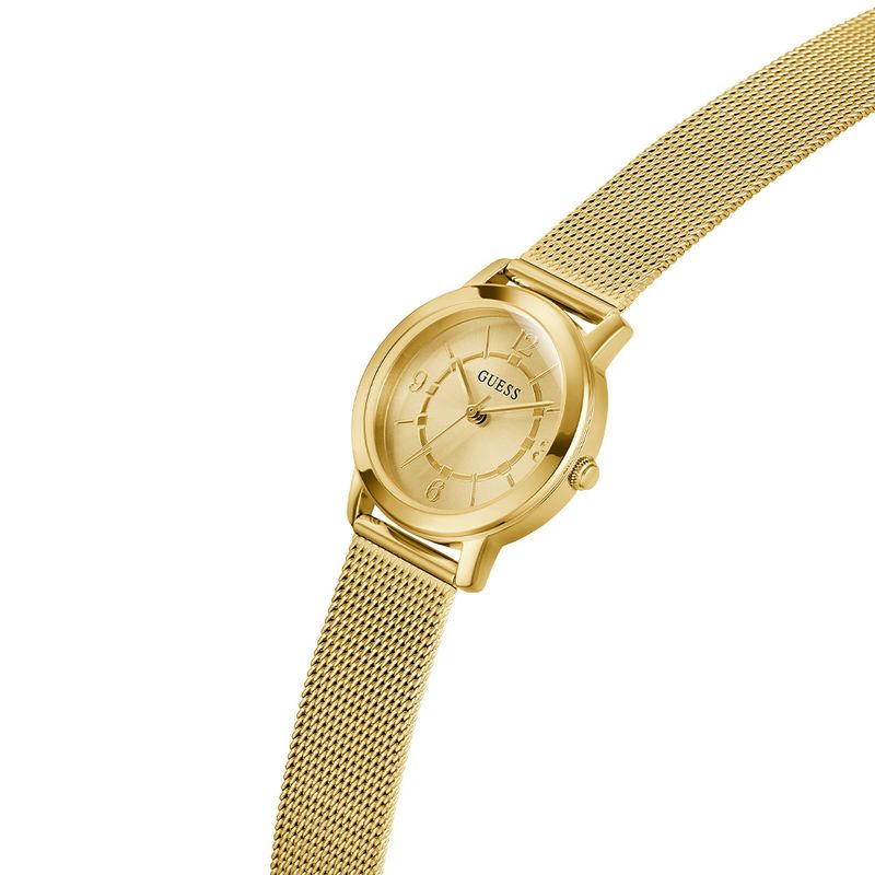 GW0666L2