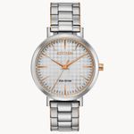Reloj_Citizen_EM0766-50A